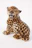 Giovanni Ronzan Familie Leopard