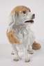 Meissen "Wachtelhund"