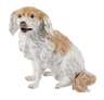 Meissen "Wachtelhund"