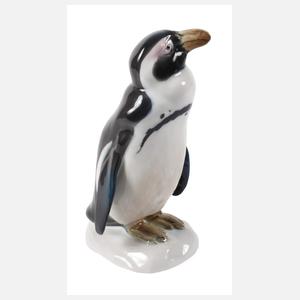 Karl Ens Volkstedt Pinguin