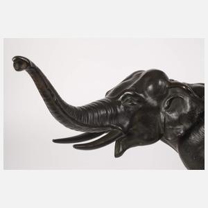 Indischer Elefant