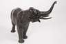 Indischer Elefant