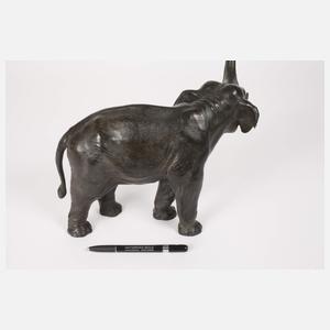 Indischer Elefant