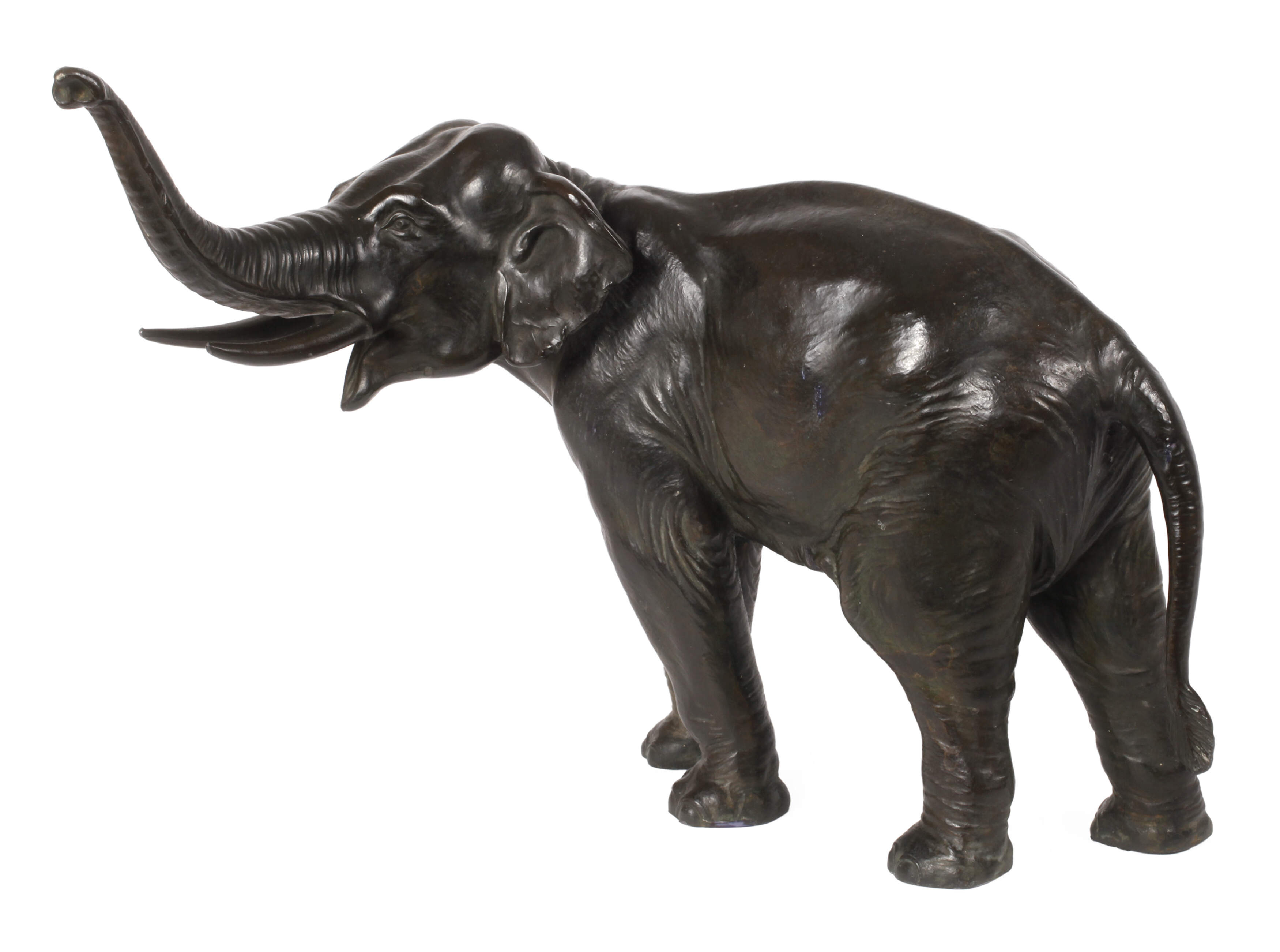 Indischer Elefant