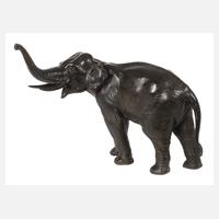 Indischer Elefant111