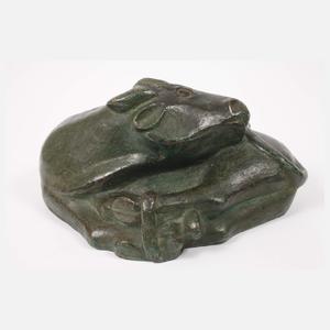 Liegender Wasserbüffel