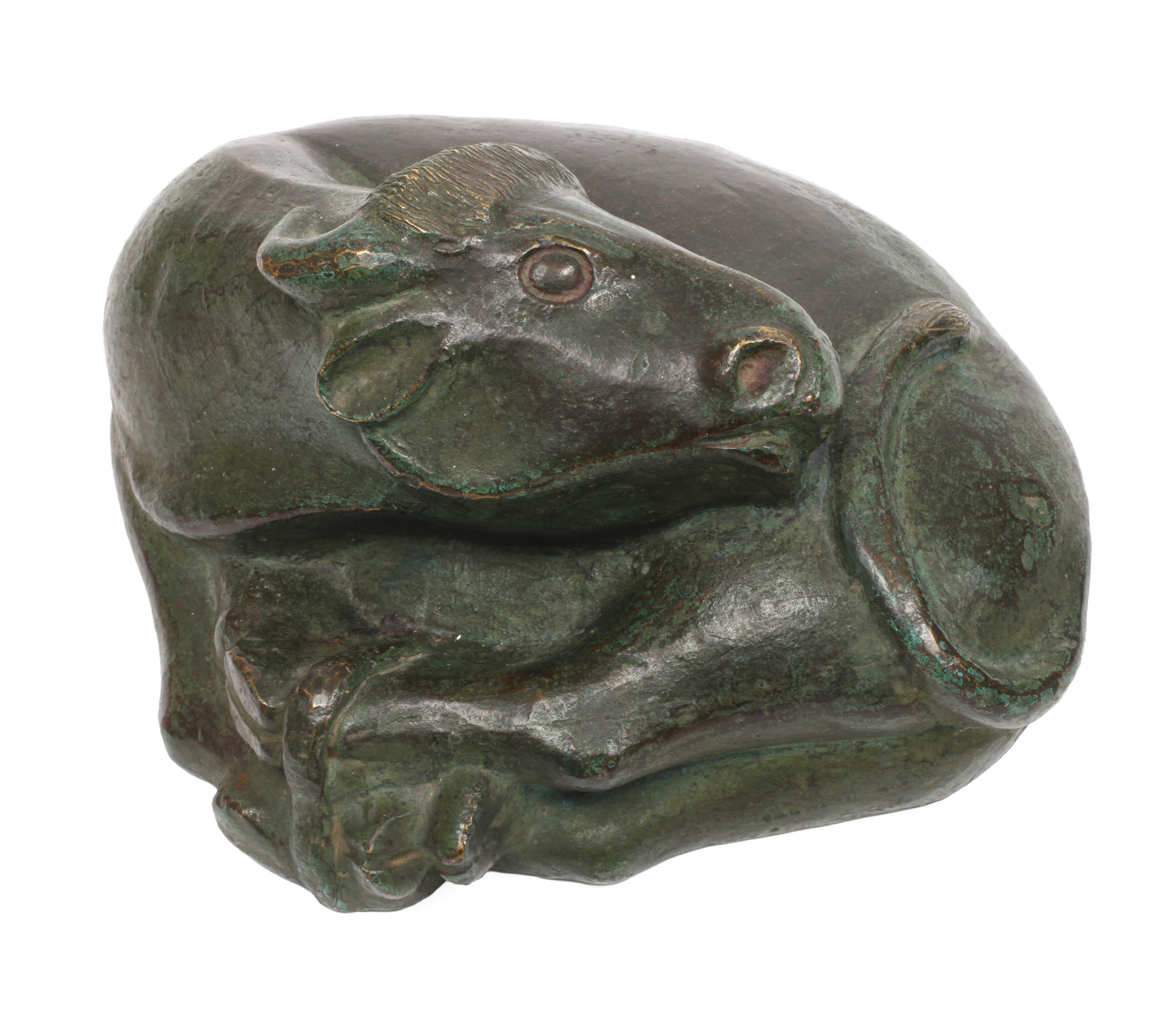Liegender Wasserbüffel
