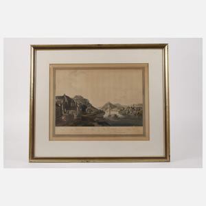 Johann Ziegler, Schloss Rolandseck und Nonnenwerth