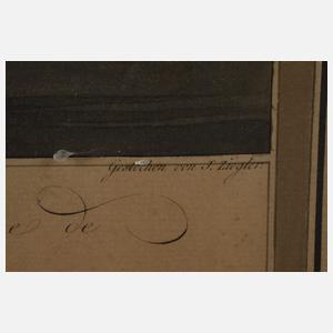 Johann Ziegler, Schloss Rolandseck und Nonnenwerth