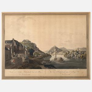 Johann Ziegler, Schloss Rolandseck und Nonnenwerth