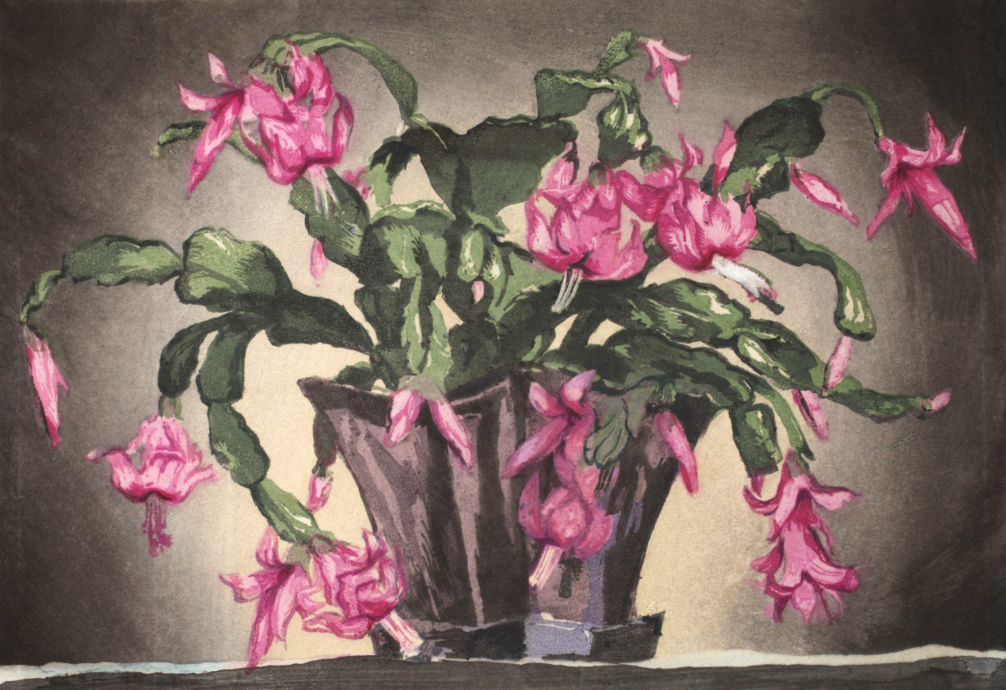 Hugo Noske, "Blühende Epiphyllum"