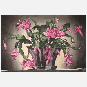 Hugo Noske, "Blühende Epiphyllum"