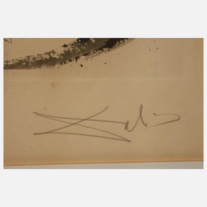 Salvador Dali, "Portrait de Sigismund"
