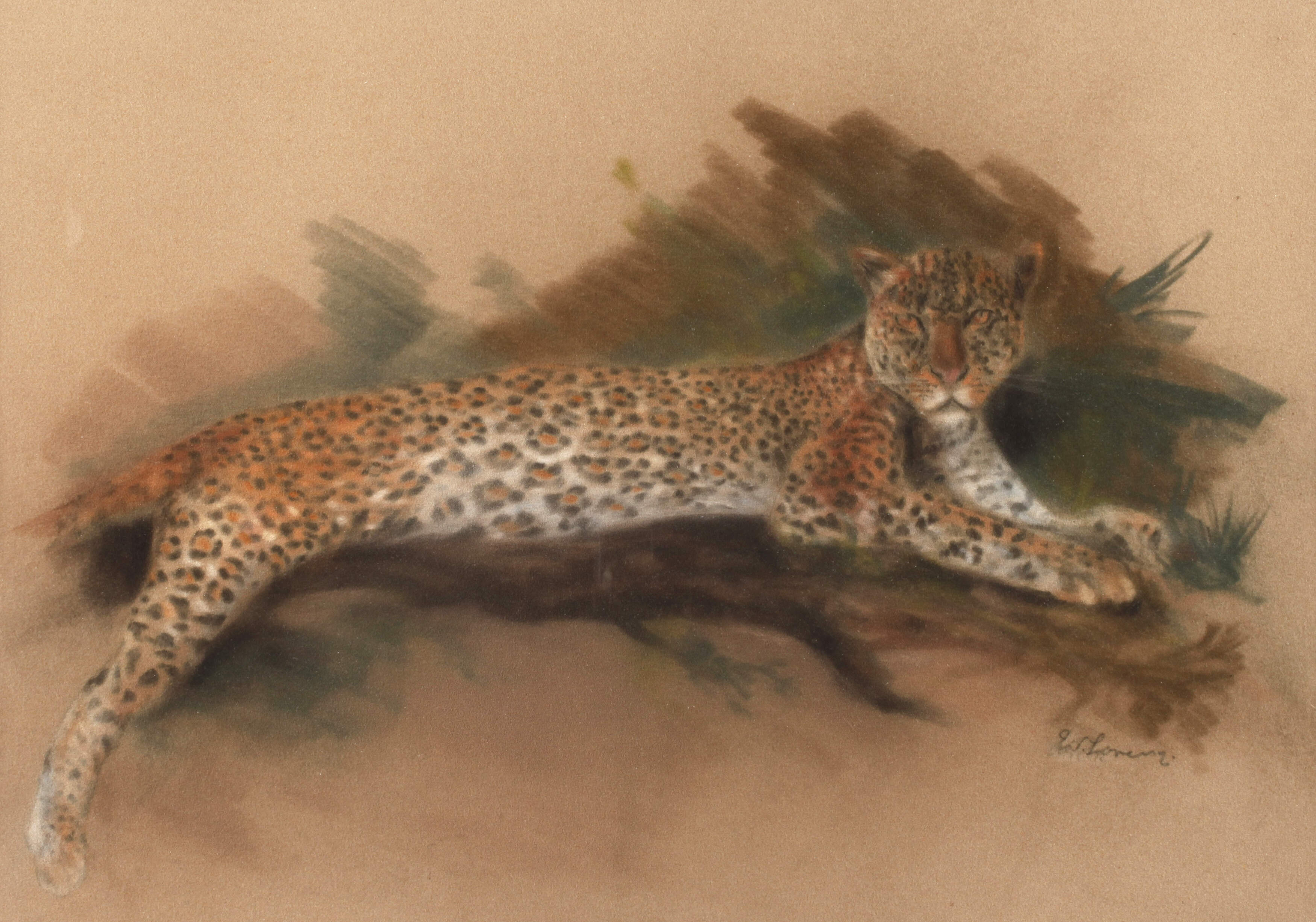 Willy Lorenz, Ruhender Leopard
