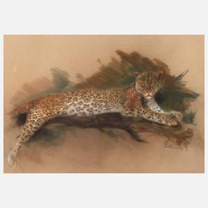 Willy Lorenz, Ruhender Leopard