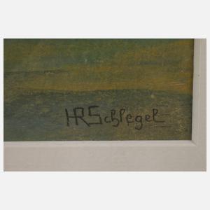 Herbert Rolf Schlegel, Weite Küstenlandschaft