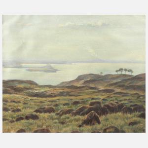 Herbert Rolf Schlegel, "Der Golf von Neapel"