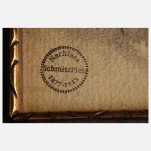 Carl Schmitz-Pleis, Bei der Hausarbeit