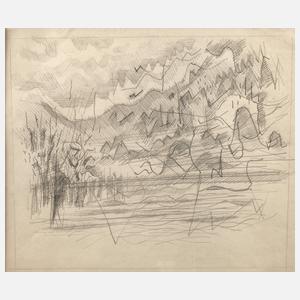 Heiner Malkowsky, Abstrahierte Landschaft