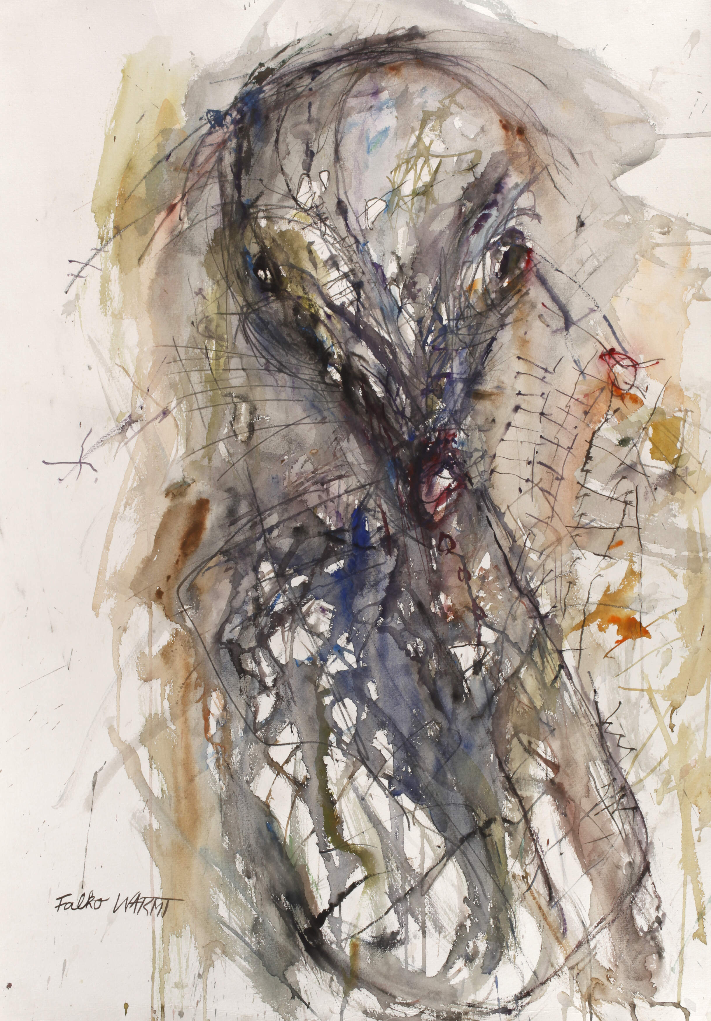 Falko Warmt, Figuration