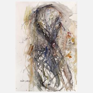 Falko Warmt, Figuration