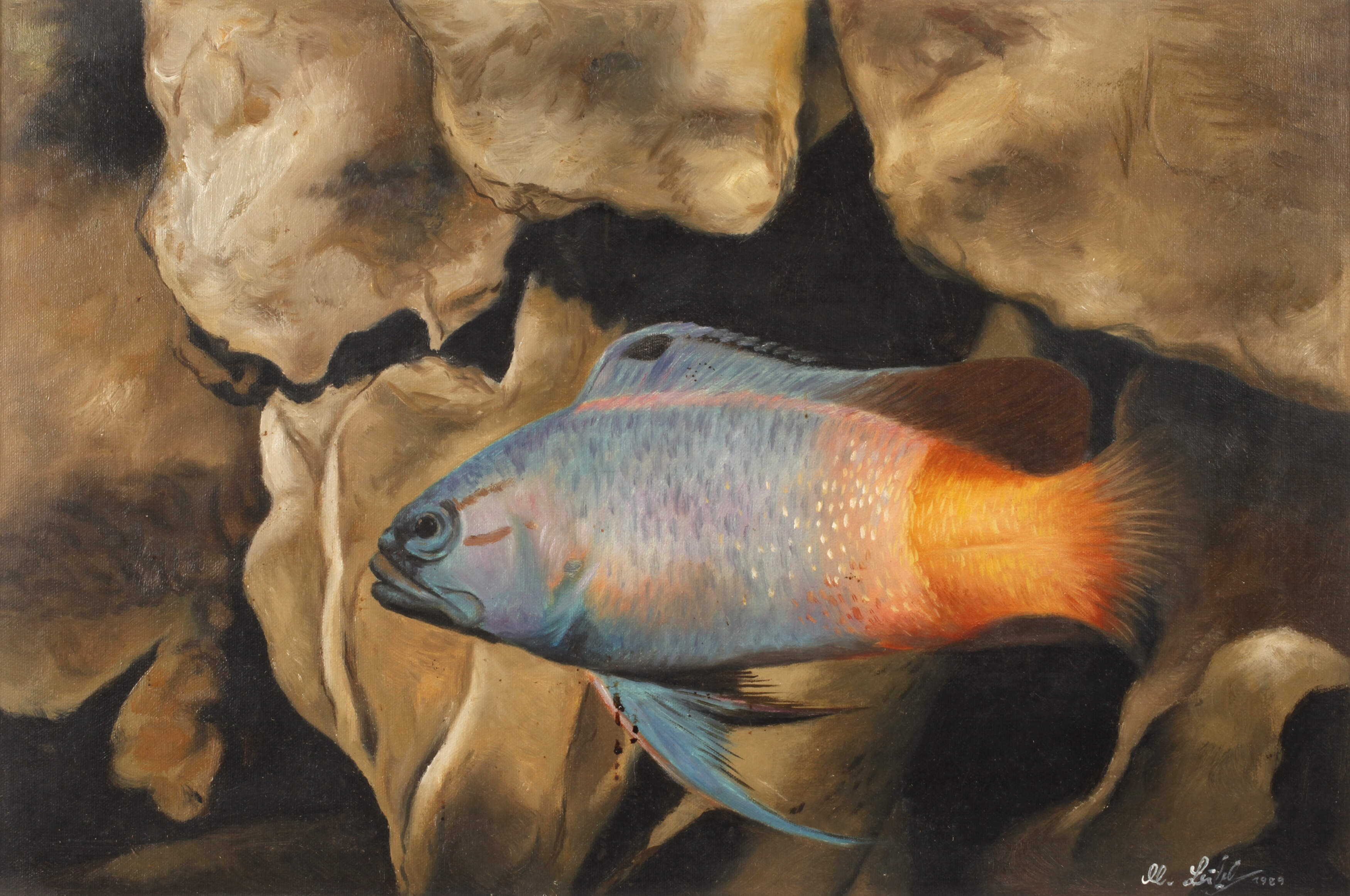Manfred Leibl, Aquariumbild