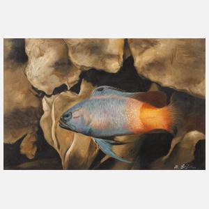 Manfred Leibl, Aquariumbild