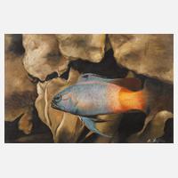 Manfred Leibl, Aquariumbild111