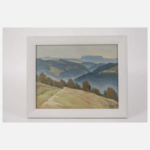 Richard Naumann-Coschütz, Sächsische Schweiz