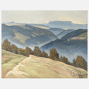 Richard Naumann-Coschütz, Sächsische Schweiz