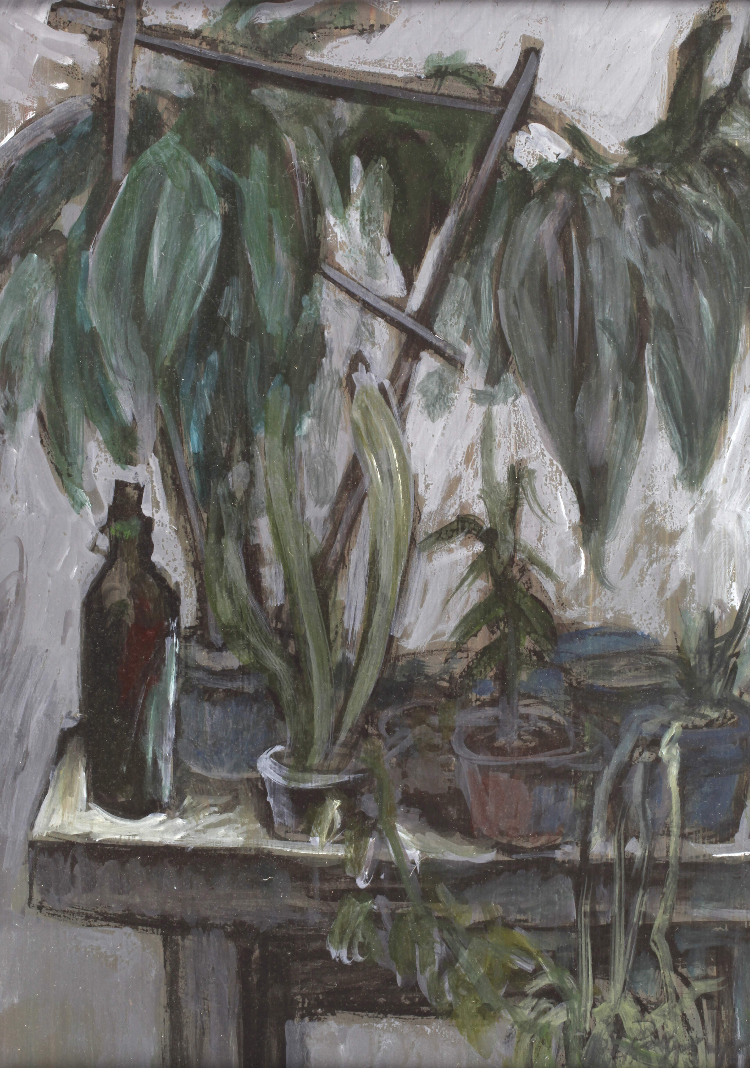 Siegfried Ratzlaff, "Gummibaum"