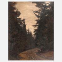 Albin Schlehahn, attr., Waldweg111