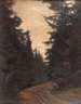 Albin Schlehahn, attr., Waldweg