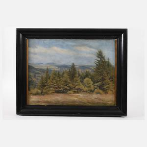 Albin Schlehahn, Vogtländische Sommerlandschaft