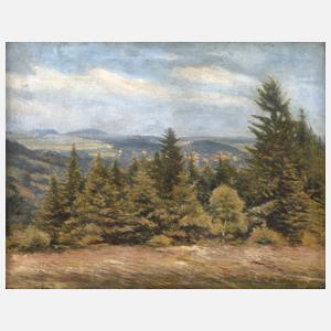 Albin Schlehahn, Vogtländische Sommerlandschaft