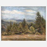 Albin Schlehahn, Vogtländische Sommerlandschaft111