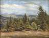 Albin Schlehahn, Vogtländische Sommerlandschaft