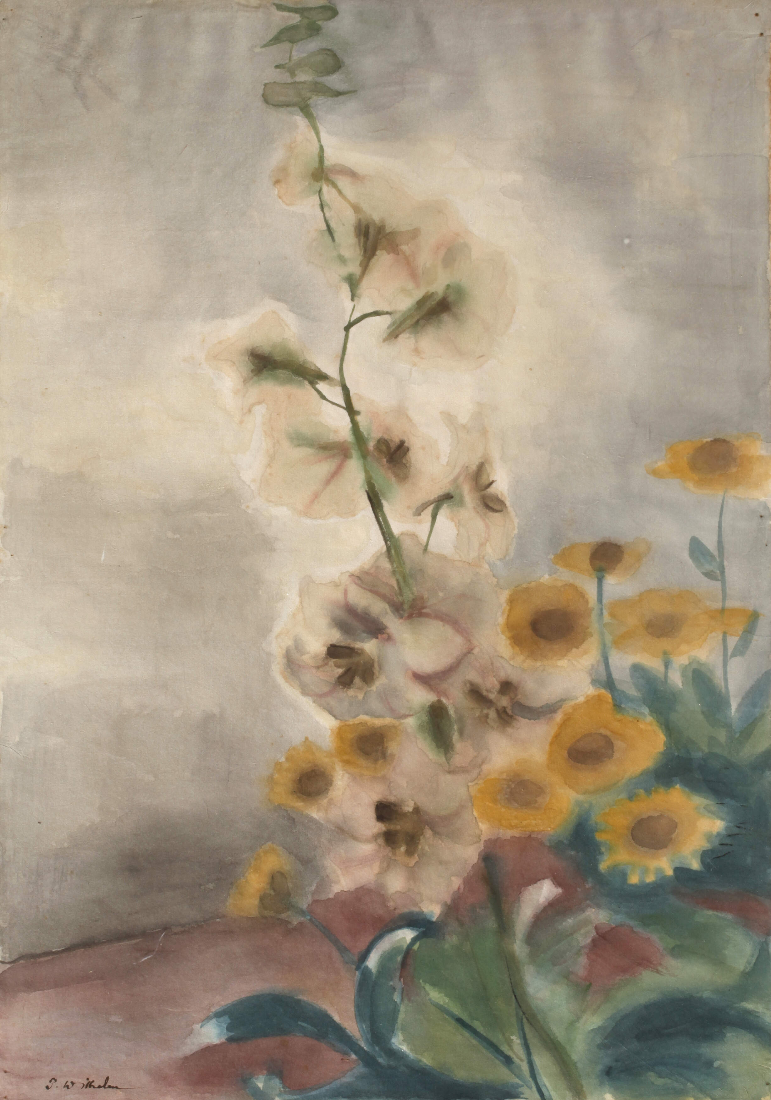 Paul Wilhelm, Malven und Sonnenhut
