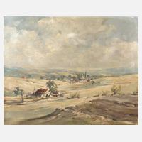 Sommer im Vogtland111