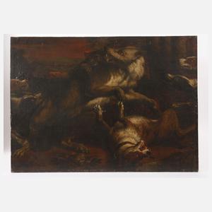 Hunde im Kampf mit einem Wolf