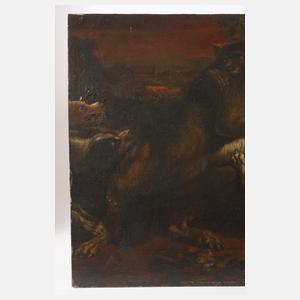 Hunde im Kampf mit einem Wolf
