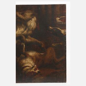 Hunde im Kampf mit einem Wolf