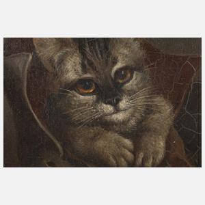 M. Circe, "Katze im Schuh"