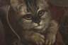M. Circe, "Katze im Schuh"