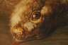 Charles Antoine Clevenbergh, Jagdstillleben