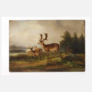 Carl Friedrich Ockert, Damhirsche