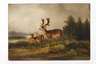 Carl Friedrich Ockert, Damhirsche