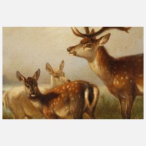 Carl Friedrich Ockert, Damhirsche