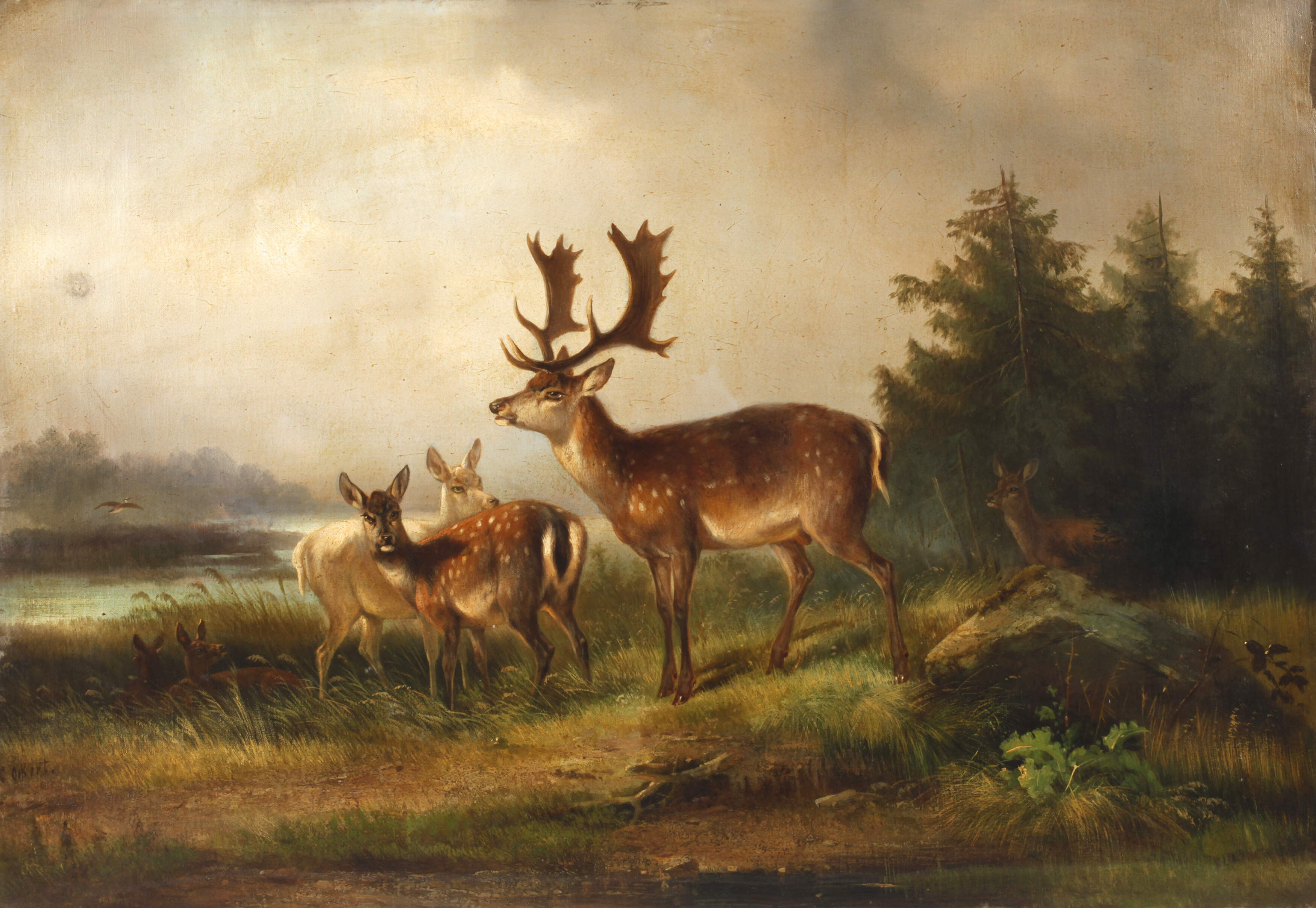 Carl Friedrich Ockert, Damhirsche