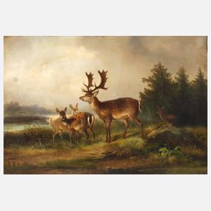Carl Friedrich Ockert, Damhirsche